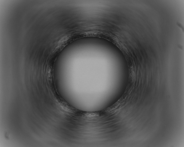X0000092010619200709061310