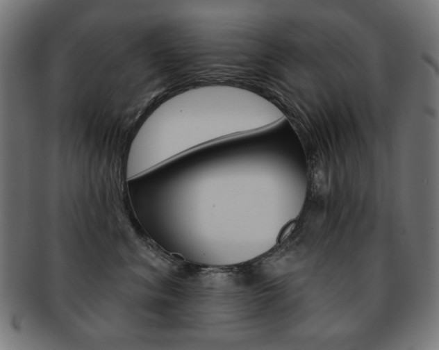 X0000092010620200709061310