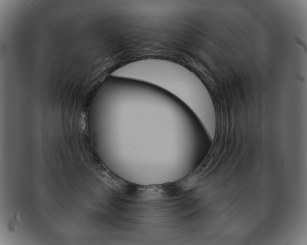 X0000092010621200709061310