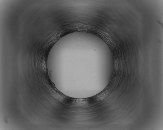 X0000092010622200709061310