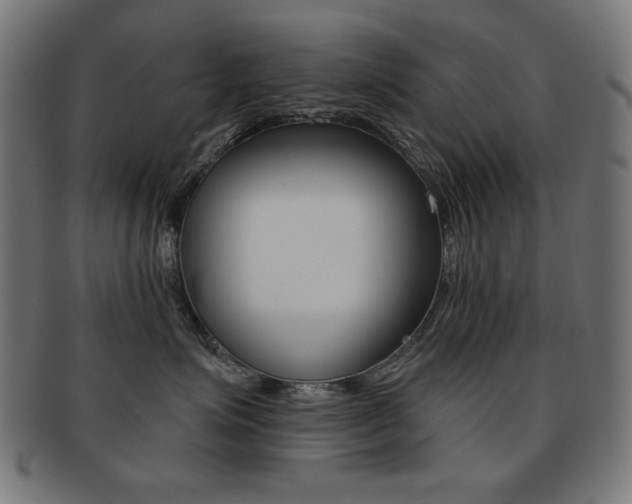 X0000092010623200709061310