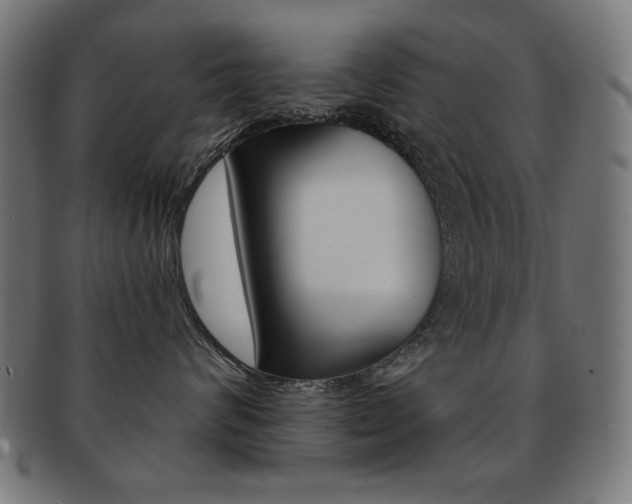 X0000092010624200709061310