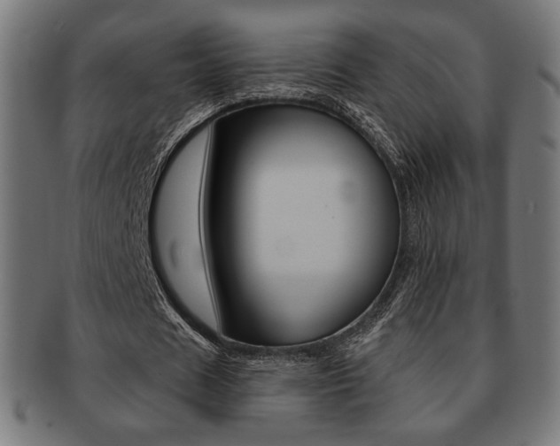 X0000092010625200709061310