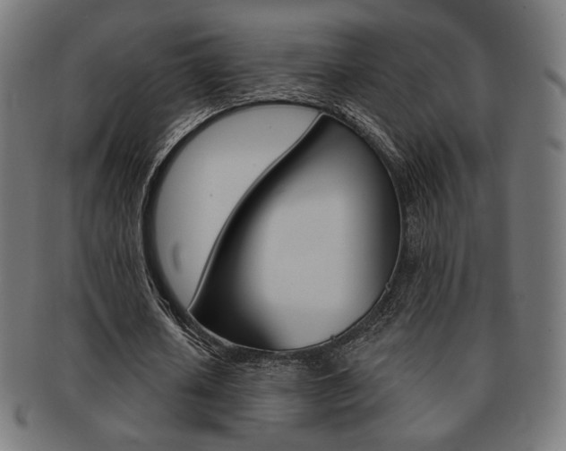 X0000092010626200709061310