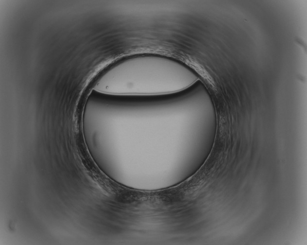 X0000092010628200709061310