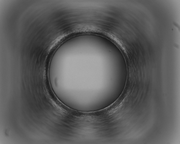 X0000092010629200709061310