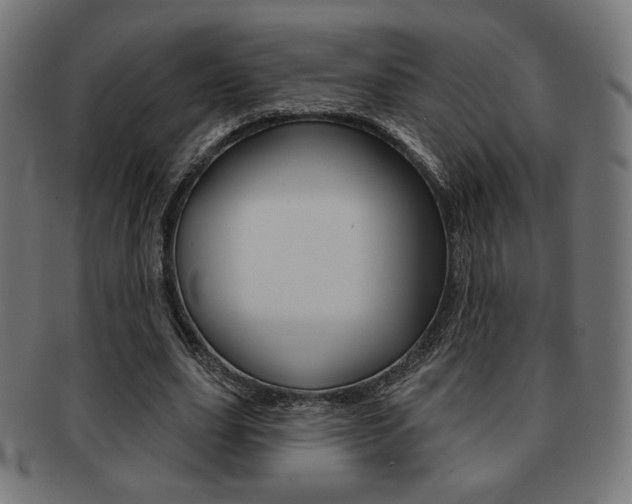X0000092010631200709061310