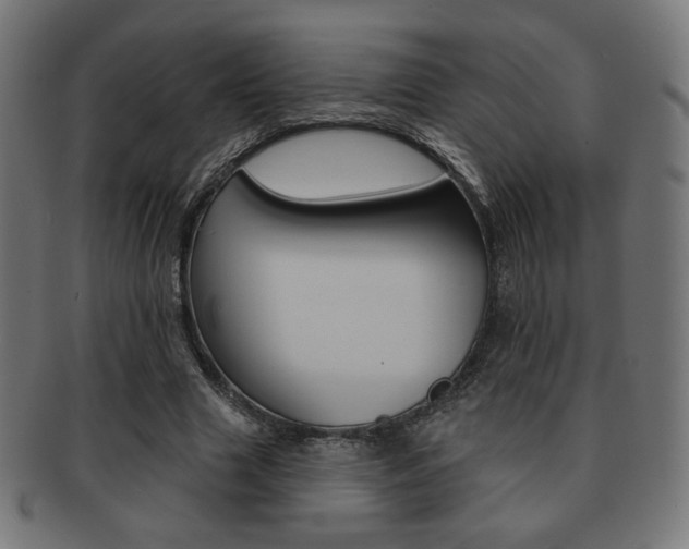X0000092010633200709061310