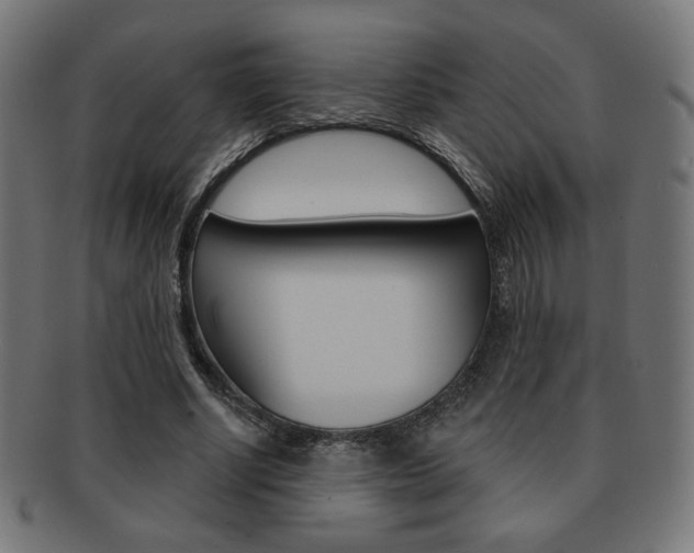 X0000092010634200709061310