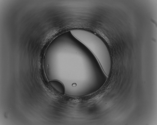 X0000092010635200709061310