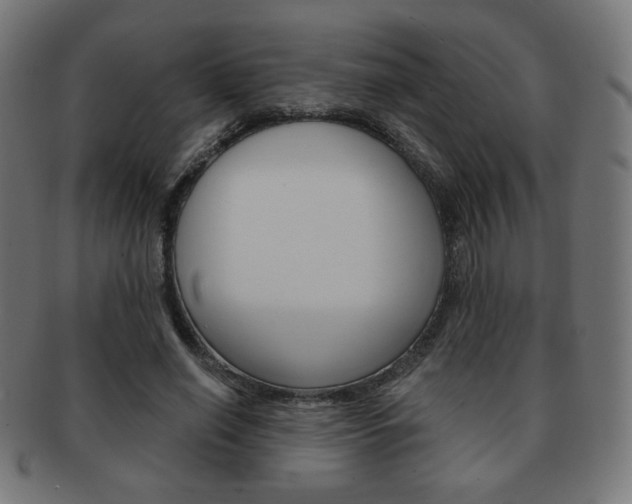 X0000092010638200709061310