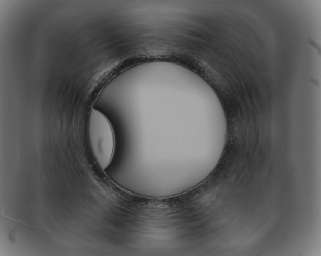 X0000092010640200709061310