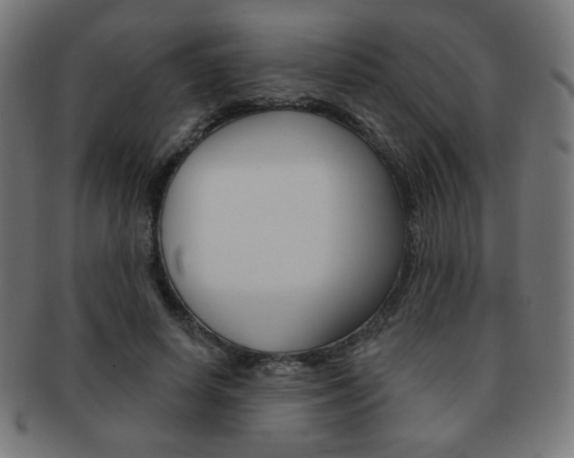 X0000092010642200709061310