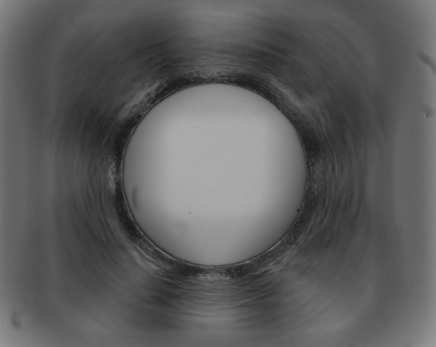 X0000092010644200709061310