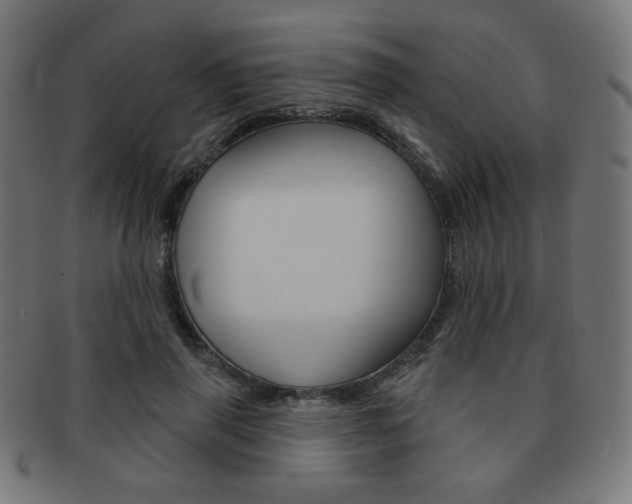 X0000092010645200709061310