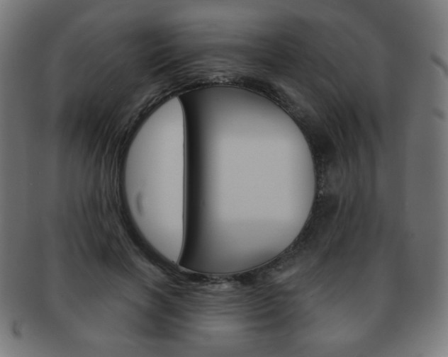 X0000092010646200709061310
