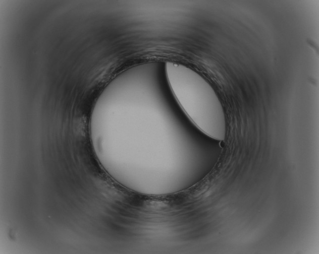X0000092010649200709061310