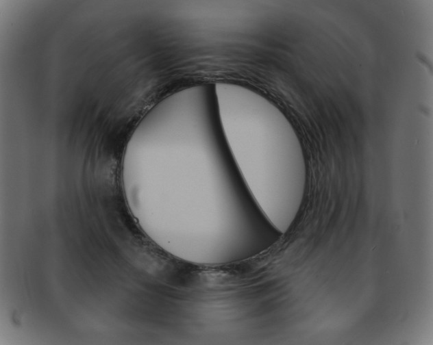 X0000092010650200709061310