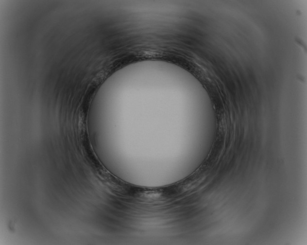 X0000092010651200709061310