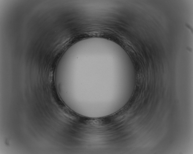 X0000092010652200709061310
