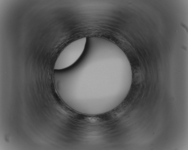 X0000092010654200709061310