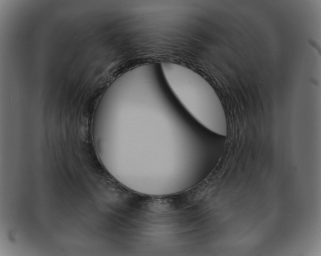 X0000092010656200709061310