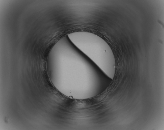 X0000092010658200709061310
