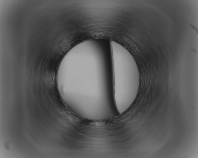 X0000092010660200709061310