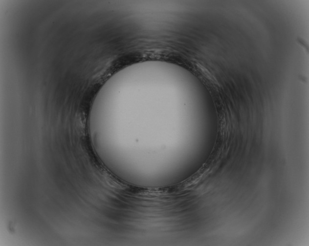 X0000092010661200709061310