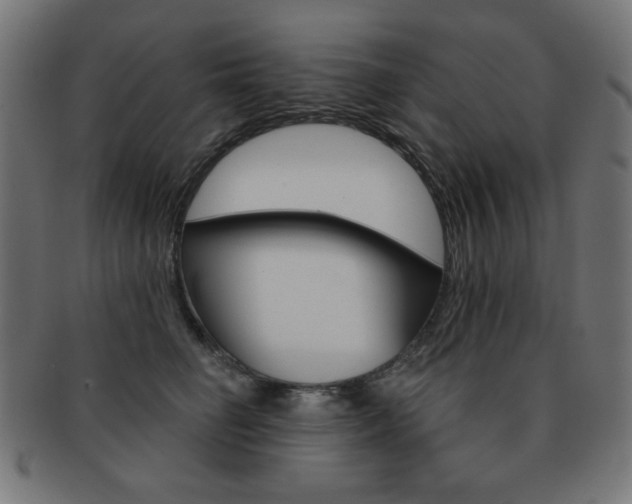 X0000092010662200709061310