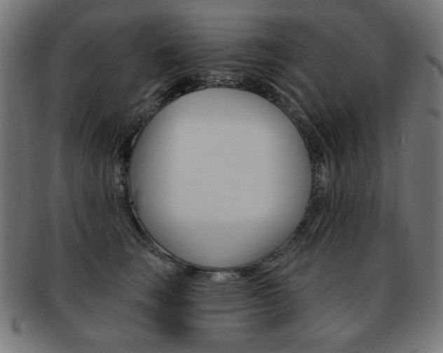 X0000092010663200709061310