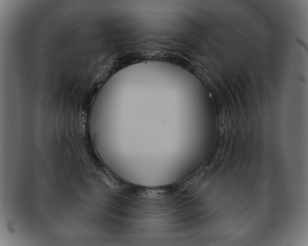 X0000092010664200709061310