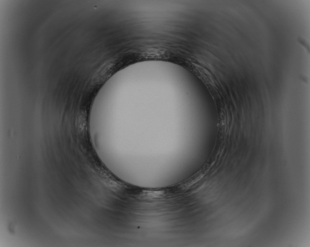 X0000092010665200709061310