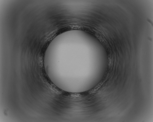 X0000092010666200709061310