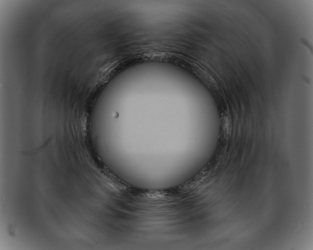 X0000092010668200709061310