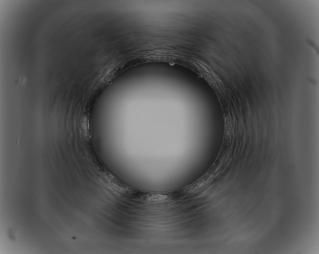 X0000092010669200709061310