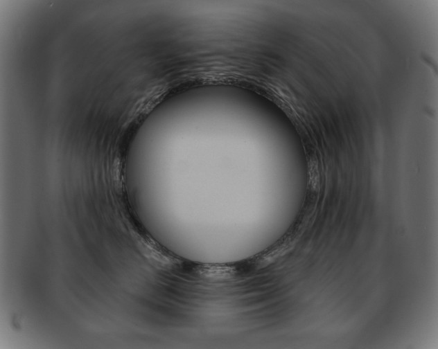 X0000092010670200709061310