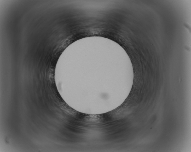 X0000092010672200709061310
