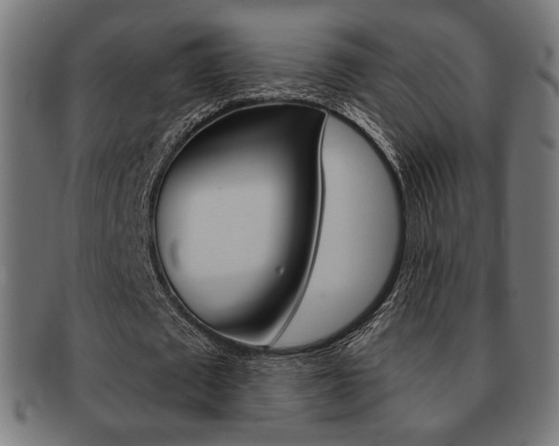 X0000092010673200709061310