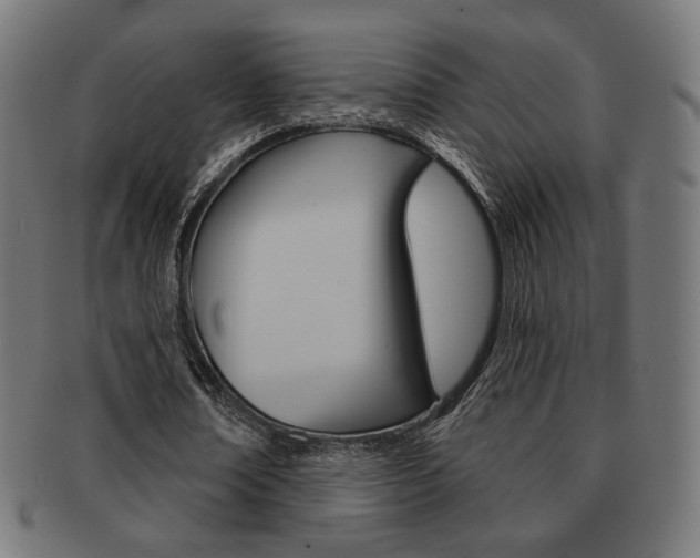 X0000092010674200709061310