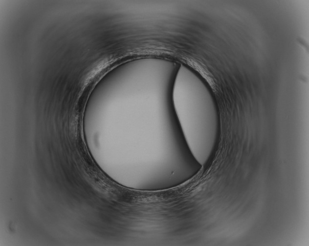 X0000092010675200709061310