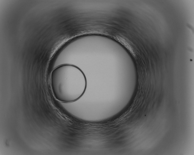 X0000092010676200709061310