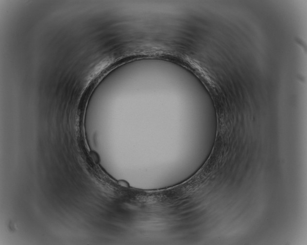 X0000092010679200709061310