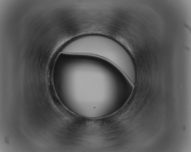 X0000092010680200709061310