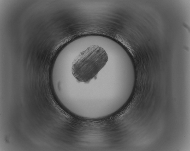 X0000092010681200709061310