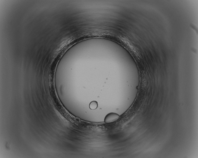 X0000092010683200709061310
