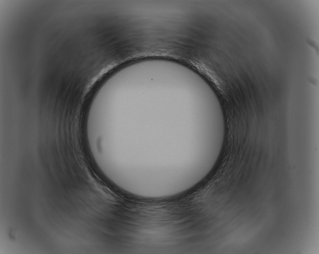 X0000092010684200709061310