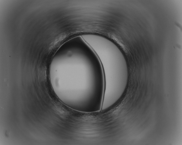 X0000092010685200709061310