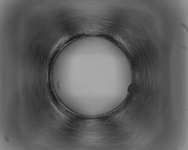 X0000092010686200709061310