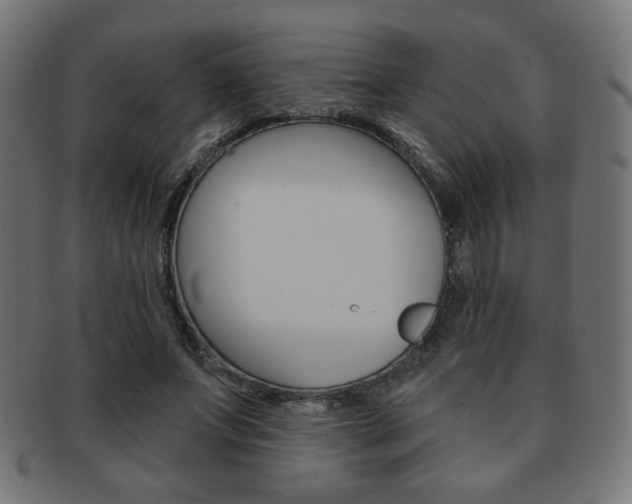 X0000092010687200709061309